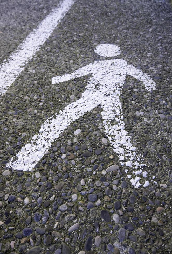 Pedestrian signal on the asphalt photo