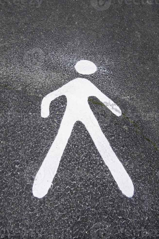 Pedestrian signal on the asphalt photo