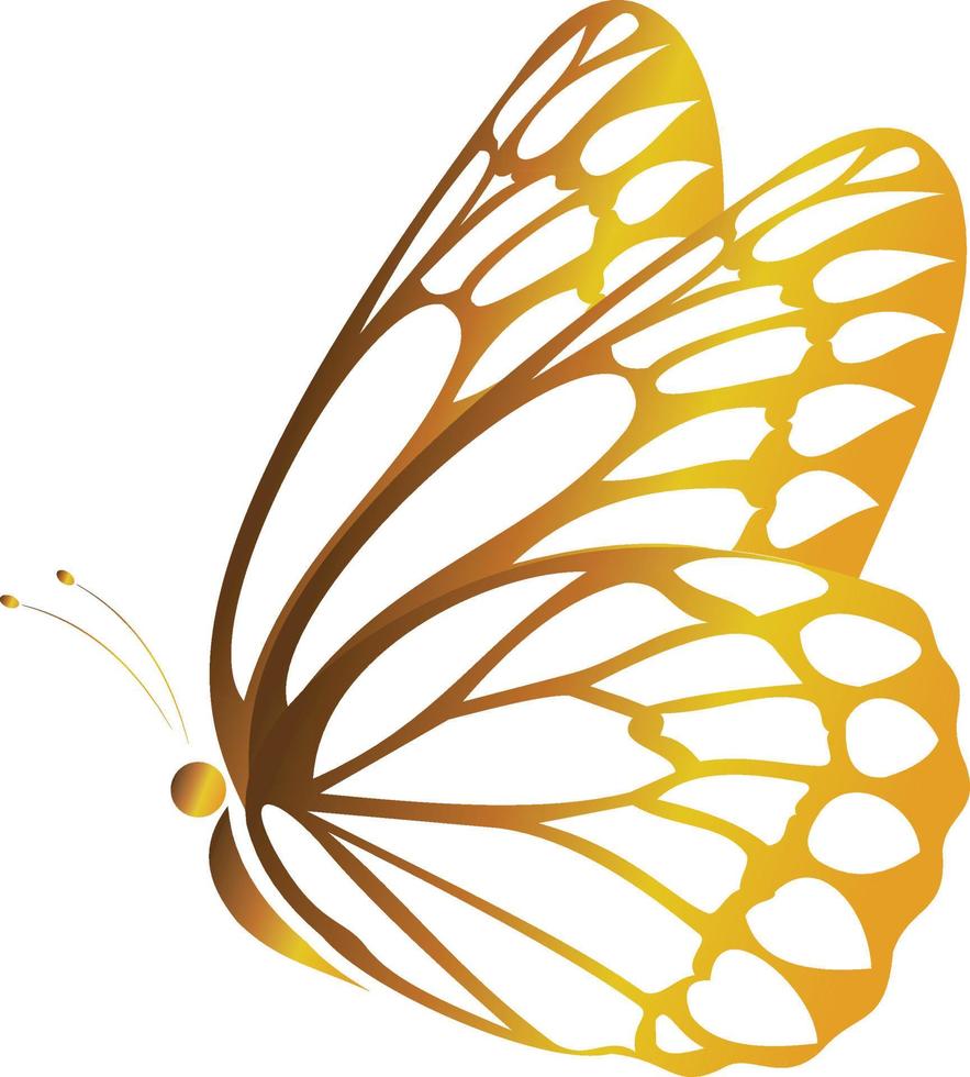 A digital drawing of a butterfly in golden color, suitable for decoration, patterns, or icons vector