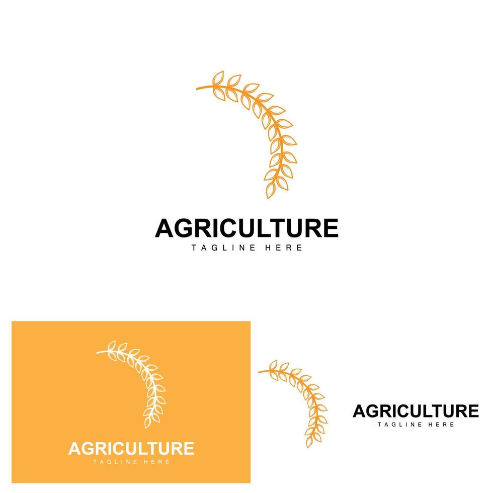 Rice Logo, Agriculture Design, Vector Wheat Rice Icon Template Illustration