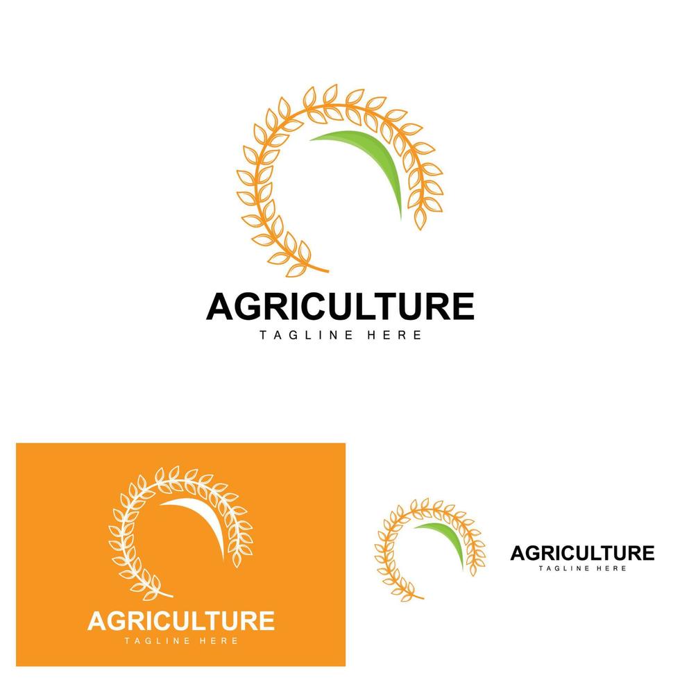 Rice Logo, Agriculture Design, Vector Wheat Rice Icon Template Illustration