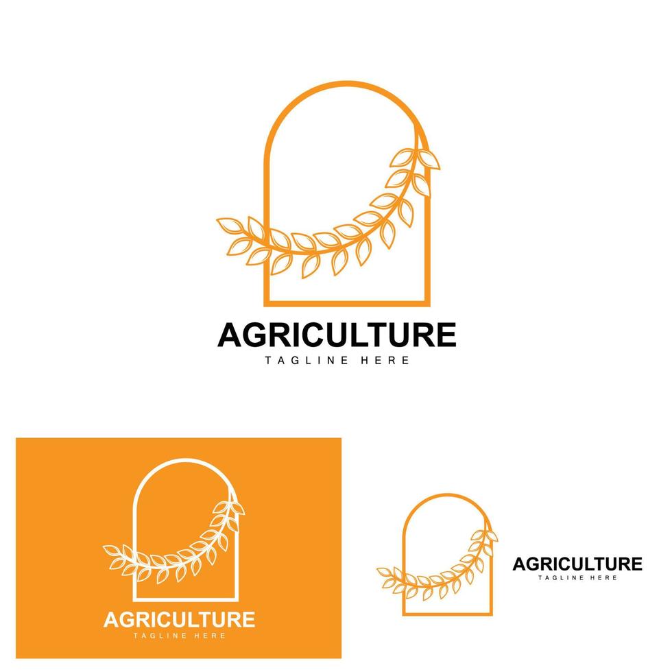 Rice Logo, Agriculture Design, Vector Wheat Rice Icon Template Illustration