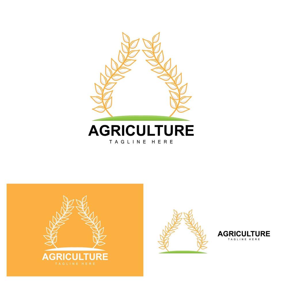 Rice Logo, Agriculture Design, Vector Wheat Rice Icon Template Illustration