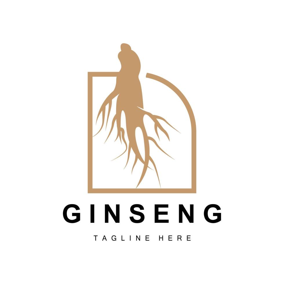 Ginseng Logo, Herbal Plant Vector, Natural Herbal Medicine, Ginseng Herbal Drink Icon vector