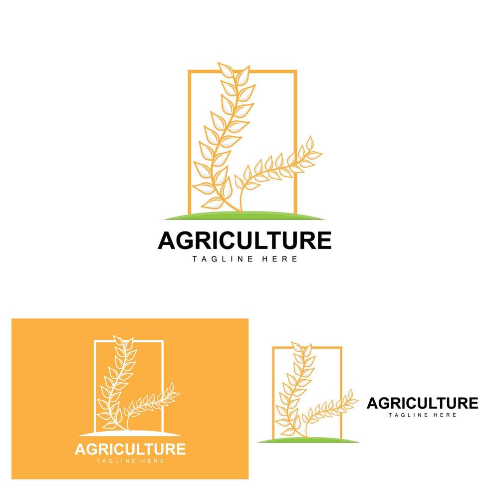 Rice Logo, Agriculture Design, Vector Wheat Rice Icon Template Illustration