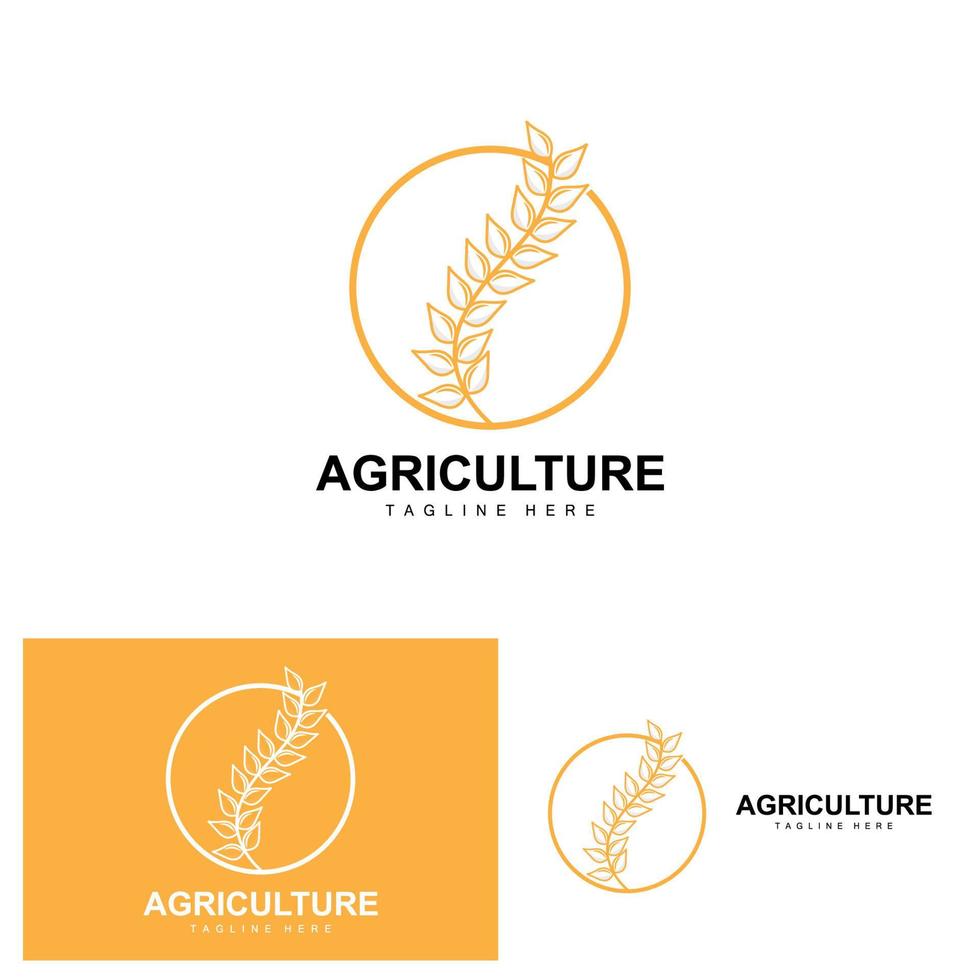 Rice Logo, Agriculture Design, Vector Wheat Rice Icon Template Illustration