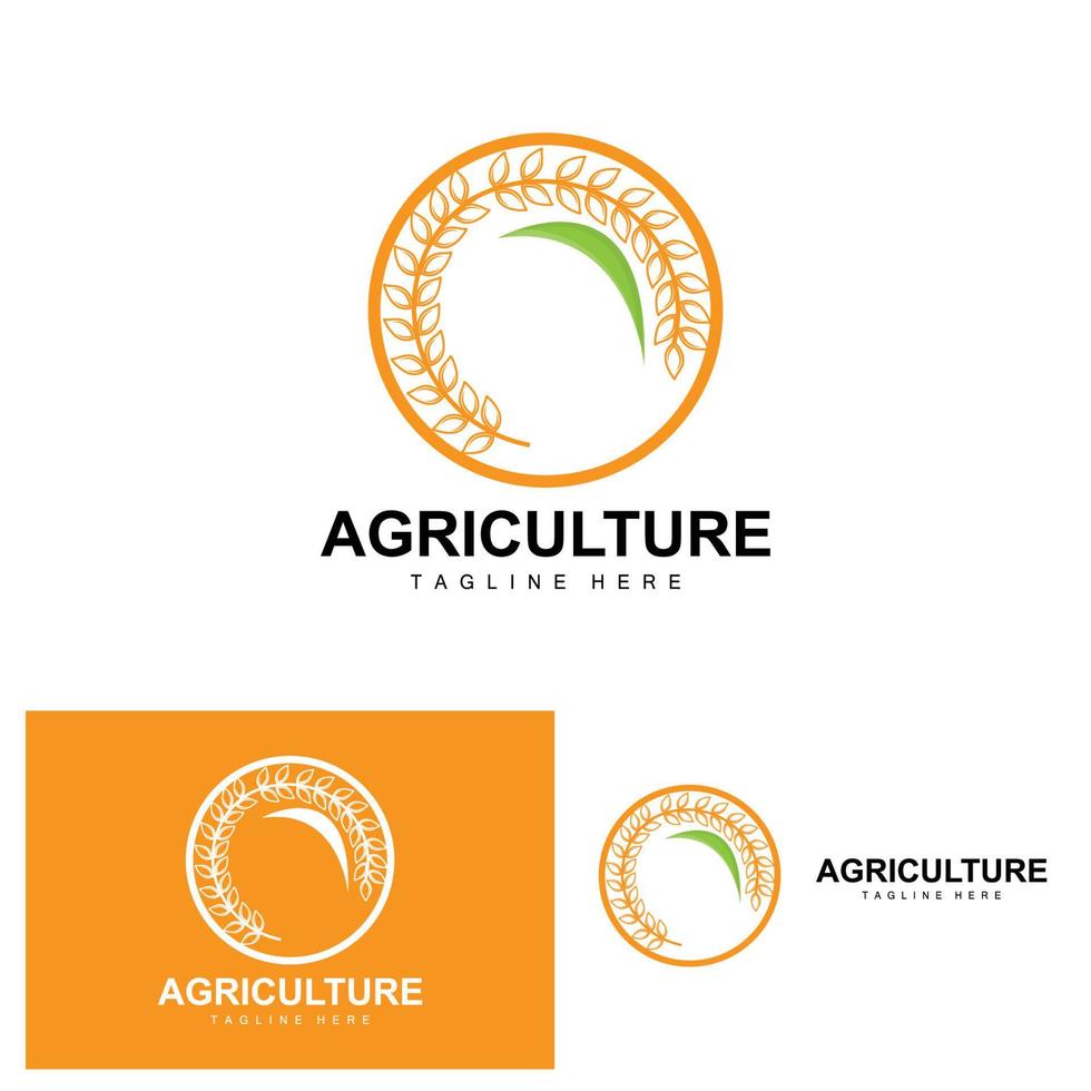 Rice Logo, Agriculture Design, Vector Wheat Rice Icon Template Illustration