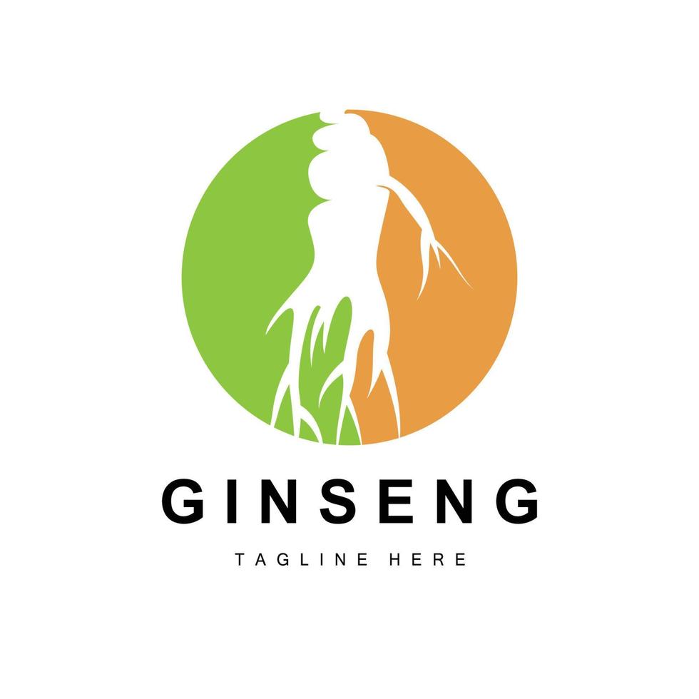 Ginseng Logo, Herbal Plant Vector, Natural Herbal Medicine, Ginseng Herbal Drink Icon vector