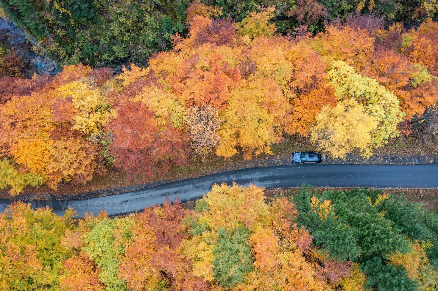 Aerial view of a car standing on the side of the road surrounded by autumn colored trees photo