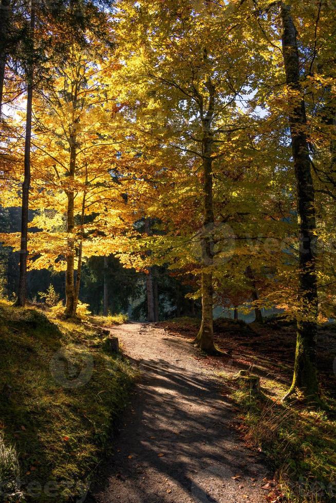 A park with autumn colored trees photo