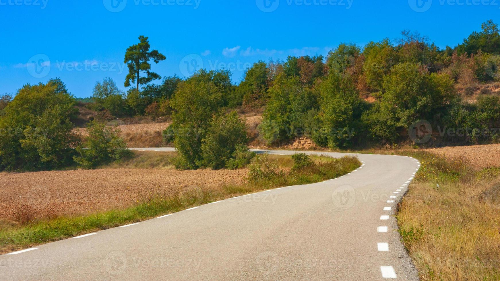 Asphalt road through fields and meadows on a sunny summer day photo