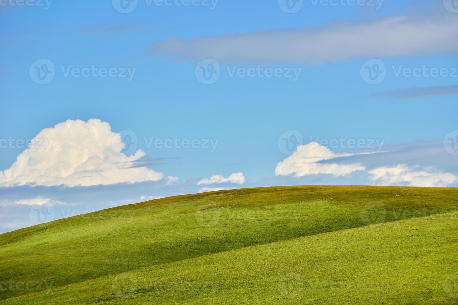 The endless, verdant Kalajun Prairie in Xinjiang photo