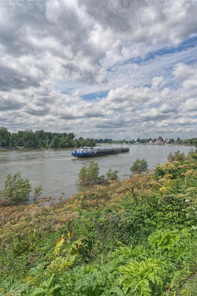 Rhine River in Duesseldorf-Benrath,North Rhine Westphalia,Germany photo