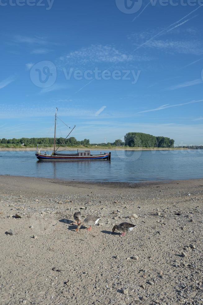 tradicional Anguila pescar barco a rin río monheim a.m Rin, Alemania foto