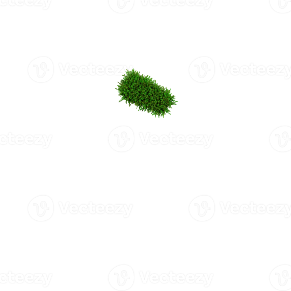 Green grass number and symbol, 3d illustration png