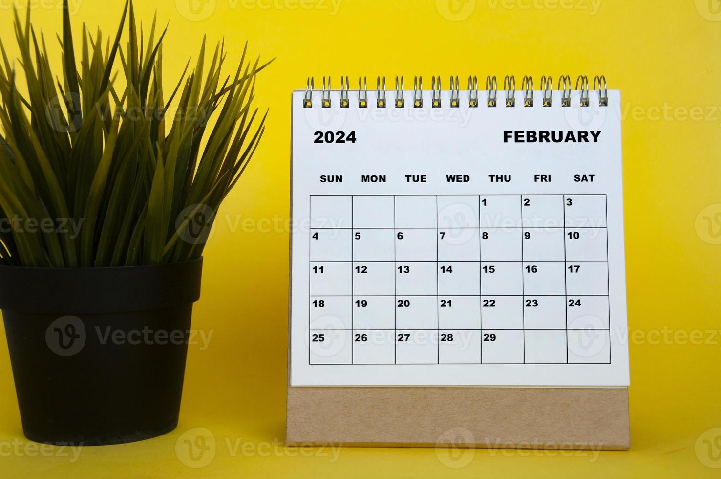 February 2024 month calendar with table plant on yellow cover background. Monthly calendar concept. photo