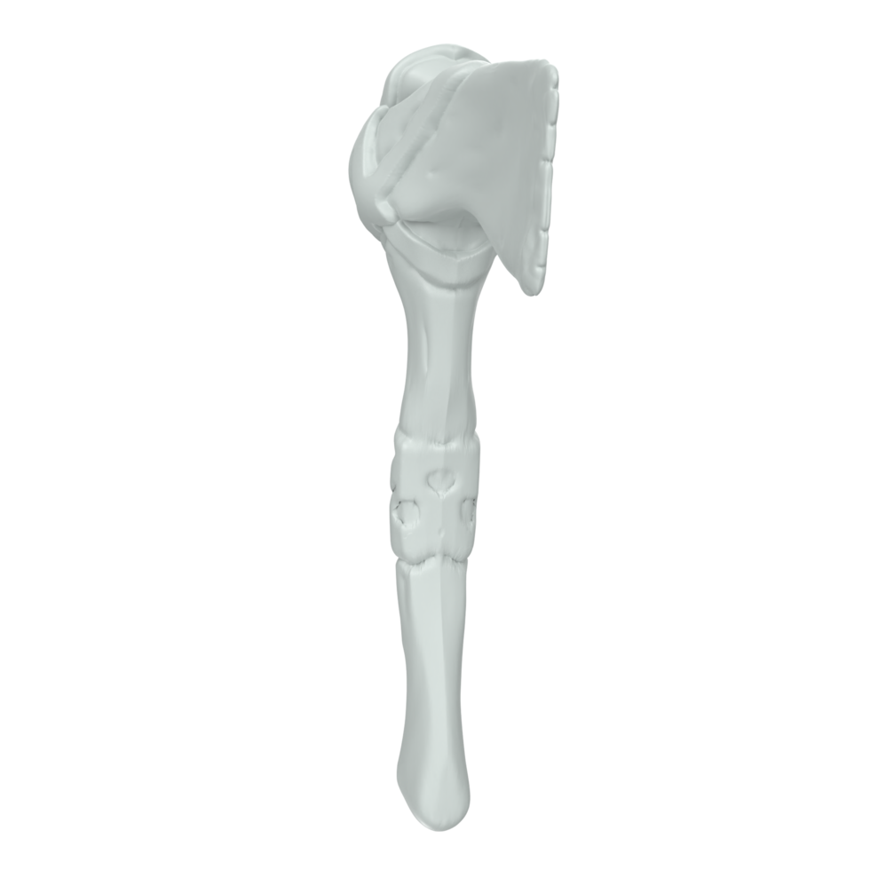 Hatchet isolated on transparent png