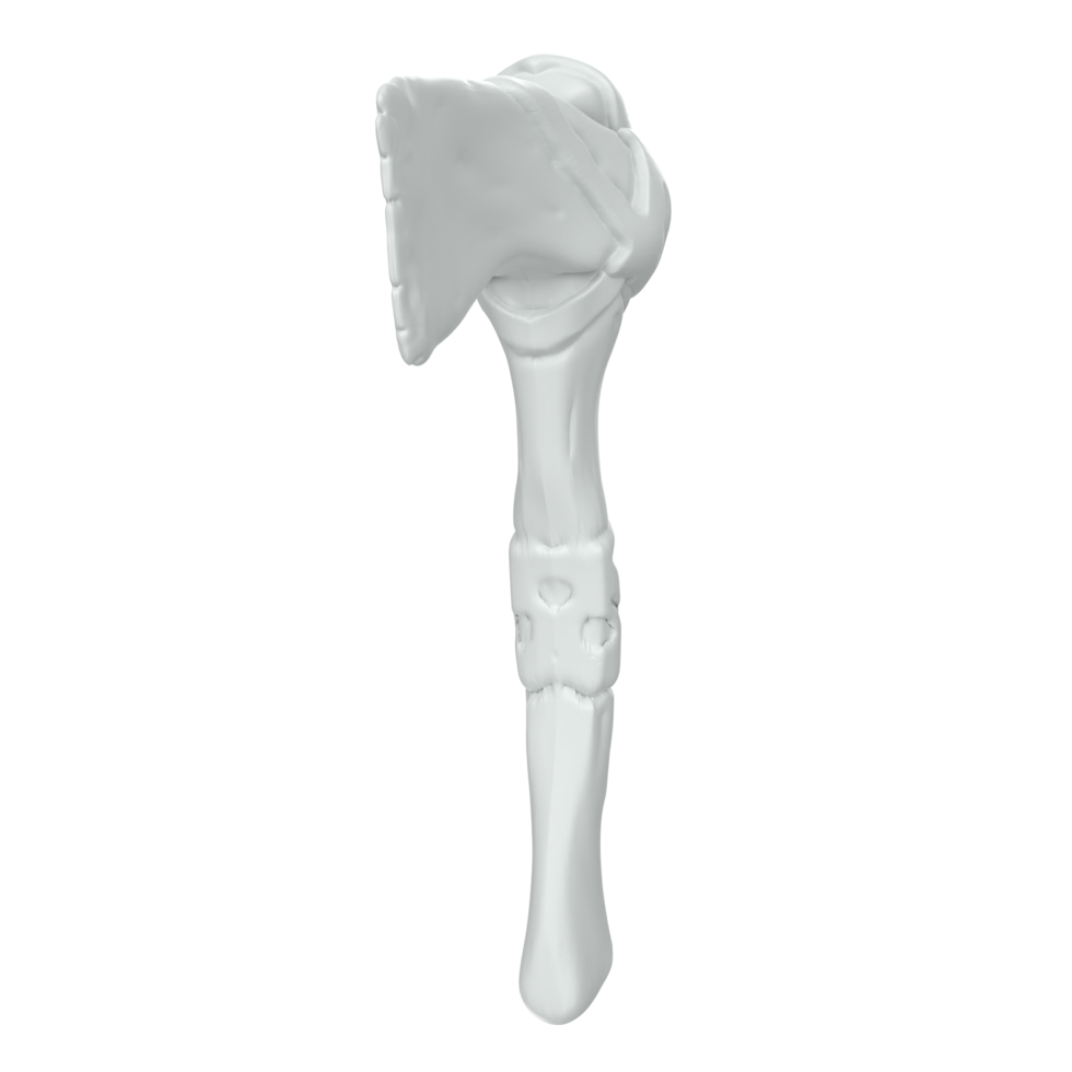 Hatchet isolated on transparent png