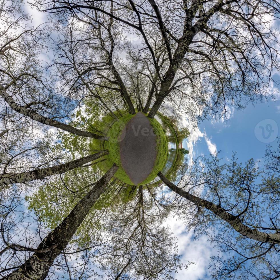 Little planet spherical panorama 360 degrees. Spherical aerial view  in blooming apple garden orchard with dandelions. Curvature of space photo