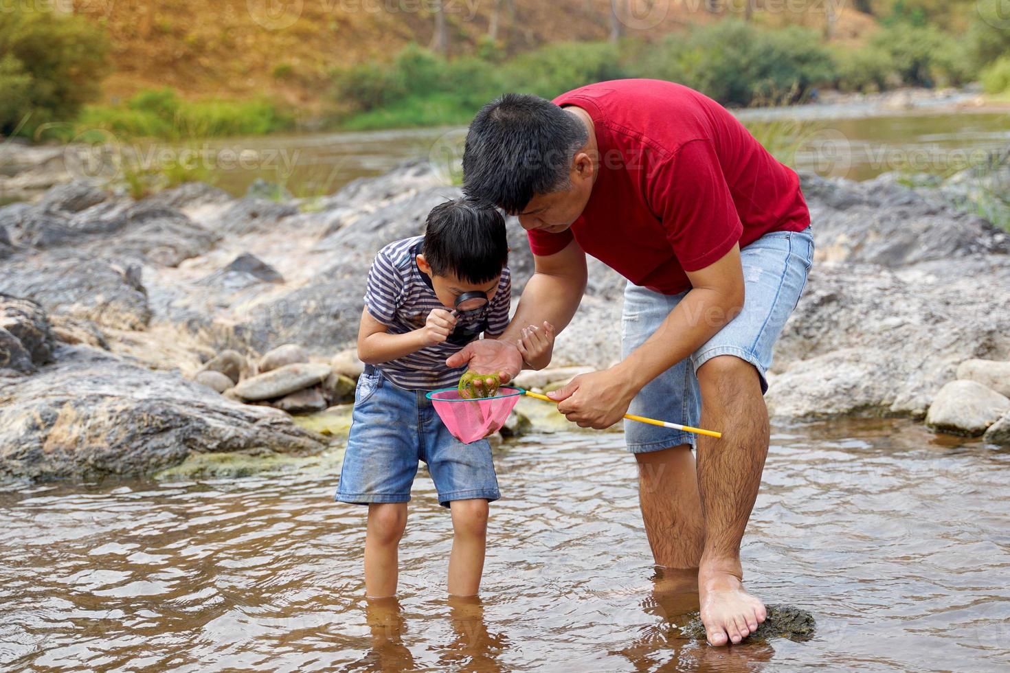 asiático padre y chico son teniendo divertido explorador el acuático ecosistema. el concepto de aprendizaje fuera de el aula, hogar escuela, natural aprendizaje recursos. suave y selectivo enfocar. foto