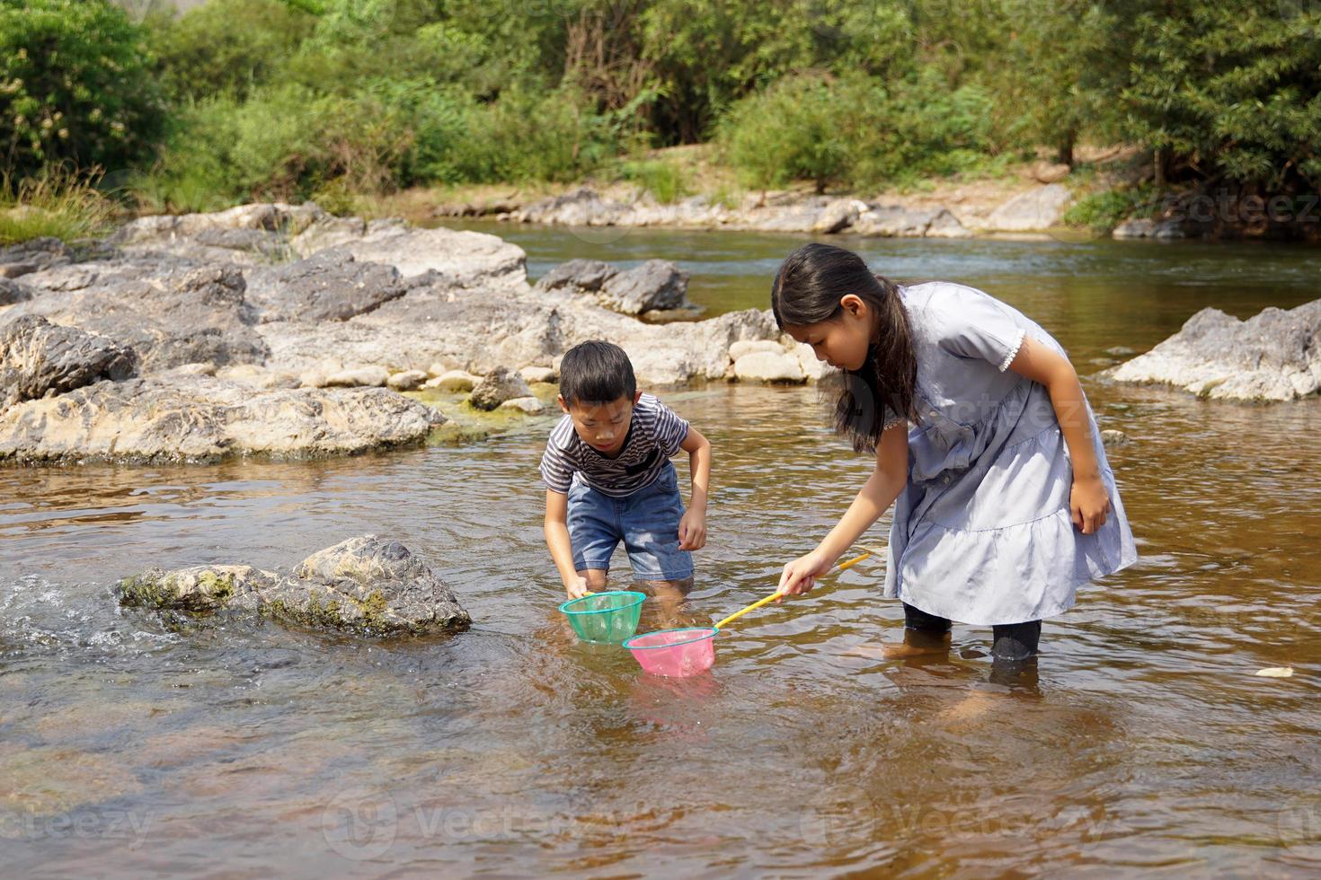 asiático muchachas y Niños son teniendo divertido explorador el acuático ecosistema. el concepto de aprendizaje fuera de el aula, hogar escuela, natural aprendizaje recursos. suave y selectivo enfocar. foto