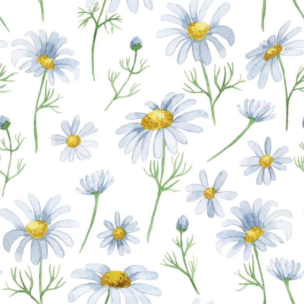 watercolor seamless pattern with daisies. wild flower print vector