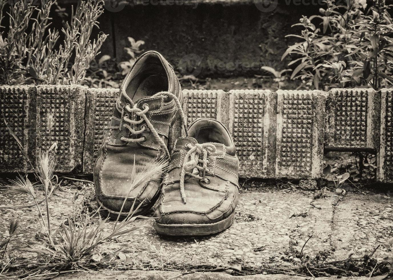 Old worn leather shoes in the garden . A black and white photo effect.