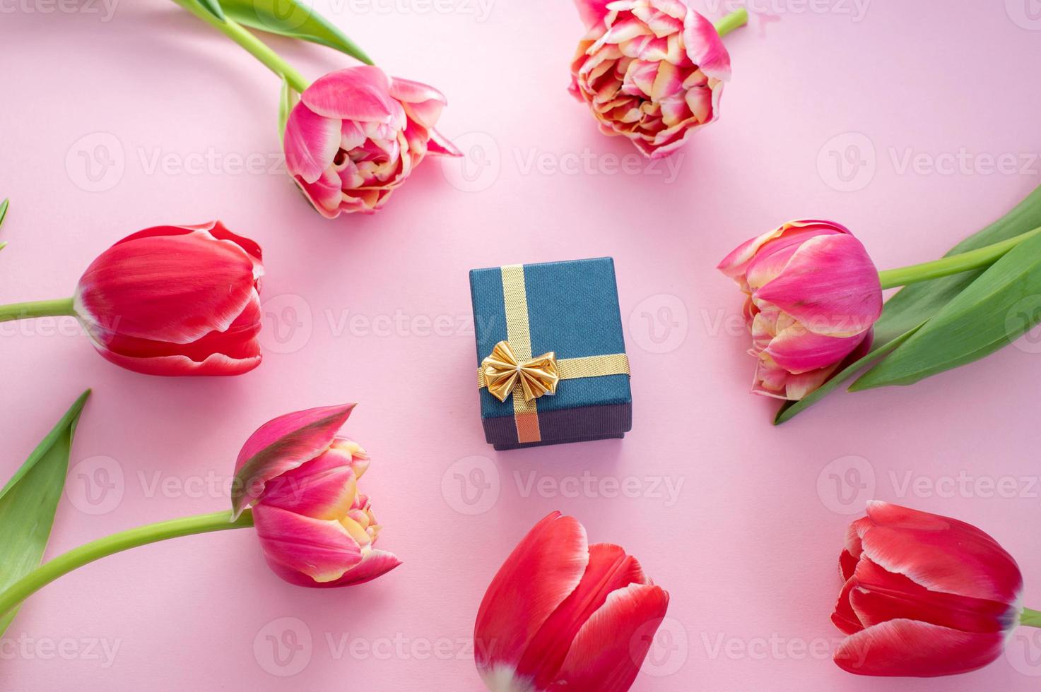 Bright colorful terry tulips lie with a jewelry box on a pink background. View from above . photo