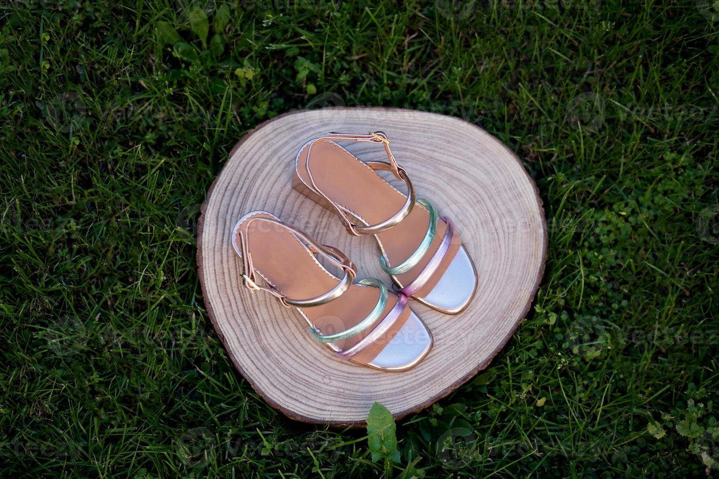 Womens sandals footwear spring collection photo