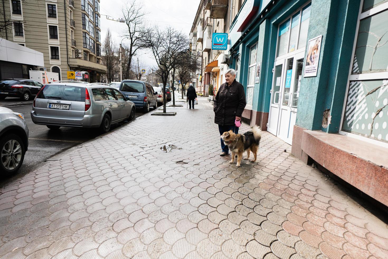 Senior woman with dog in one of street Ivano Frankivsk. photo