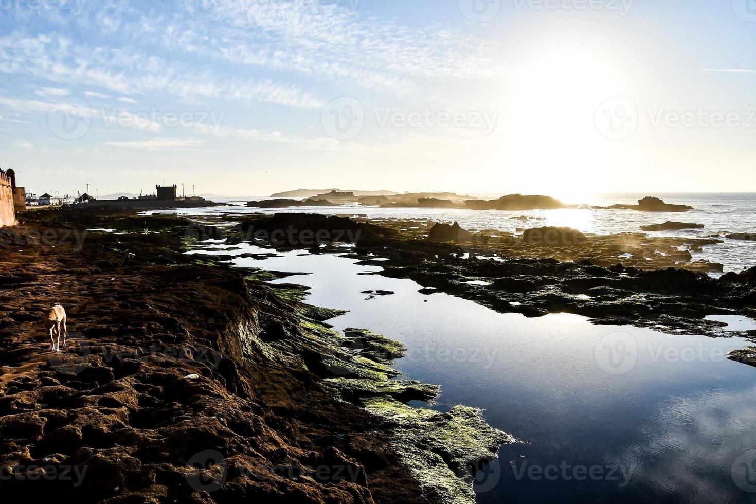 Sunset over the sea photo