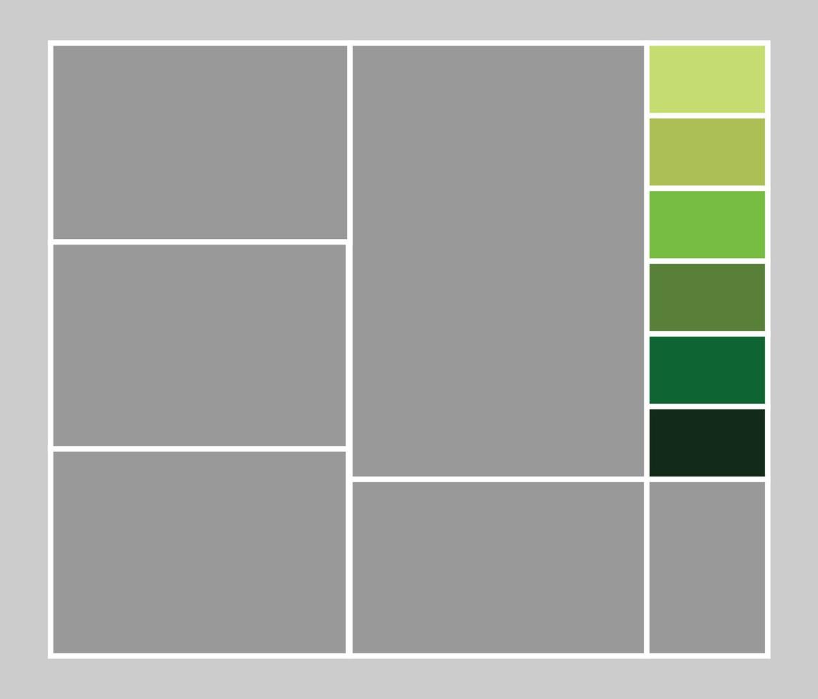 foto collage moodboard modelo en verde colores vector