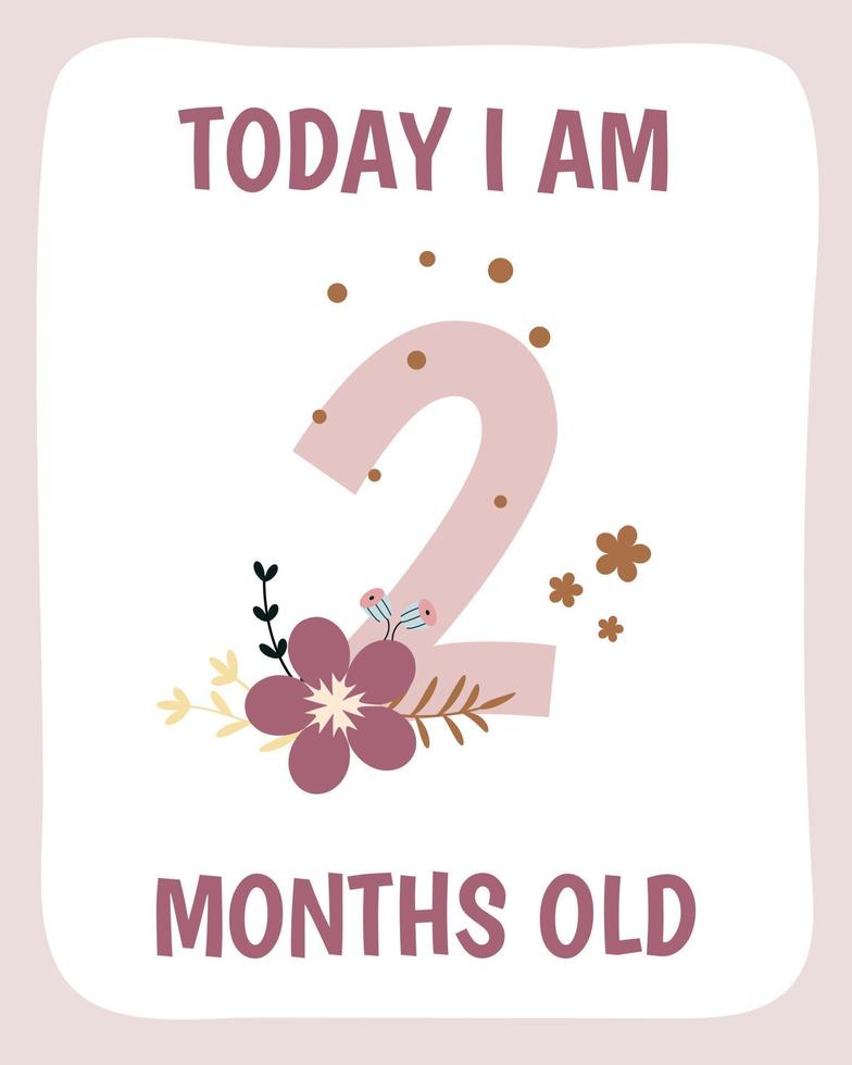 2 months Birthday party invitation with flowers. vector