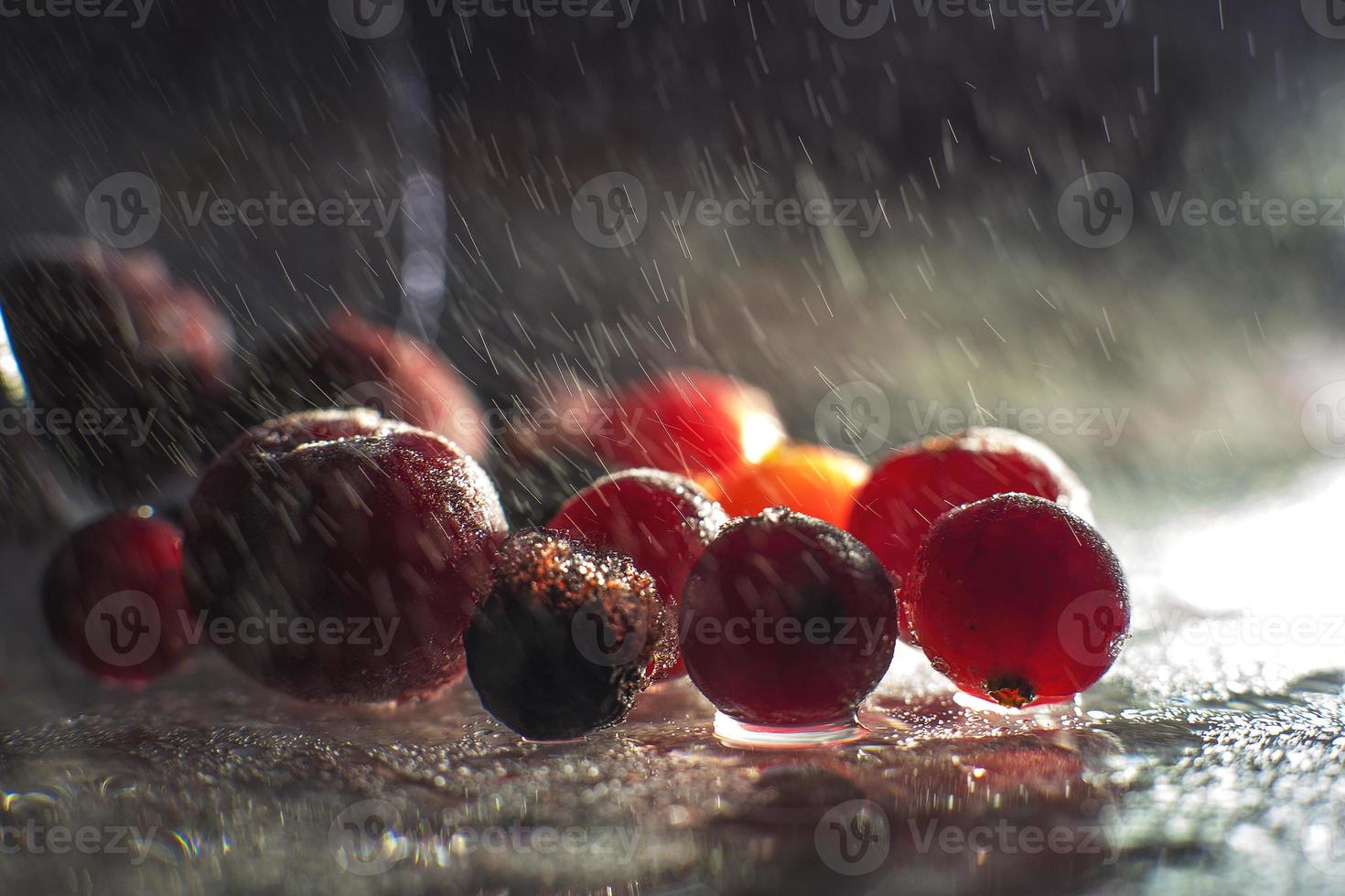 de cerca congelado bayas en el vaso con reflexión . congelado bayas en un oscuro antecedentes macro. arándanos arándanos y cerezas foto