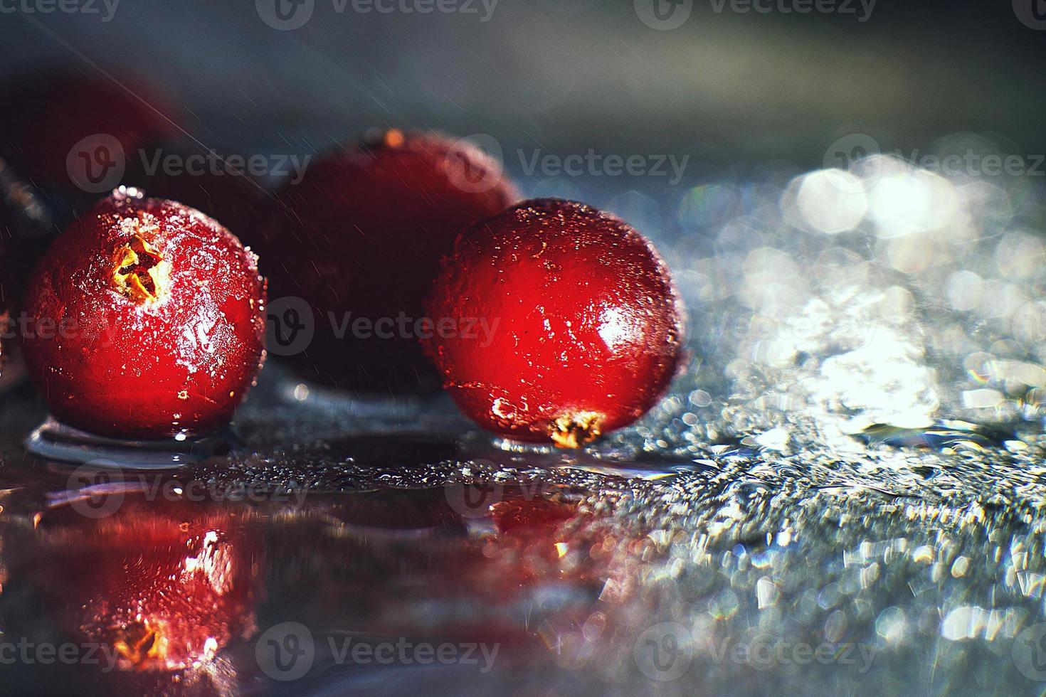 closeup frozen cranberries  on the glass with reflection . frozen cranberries   on a dark background macro. photo