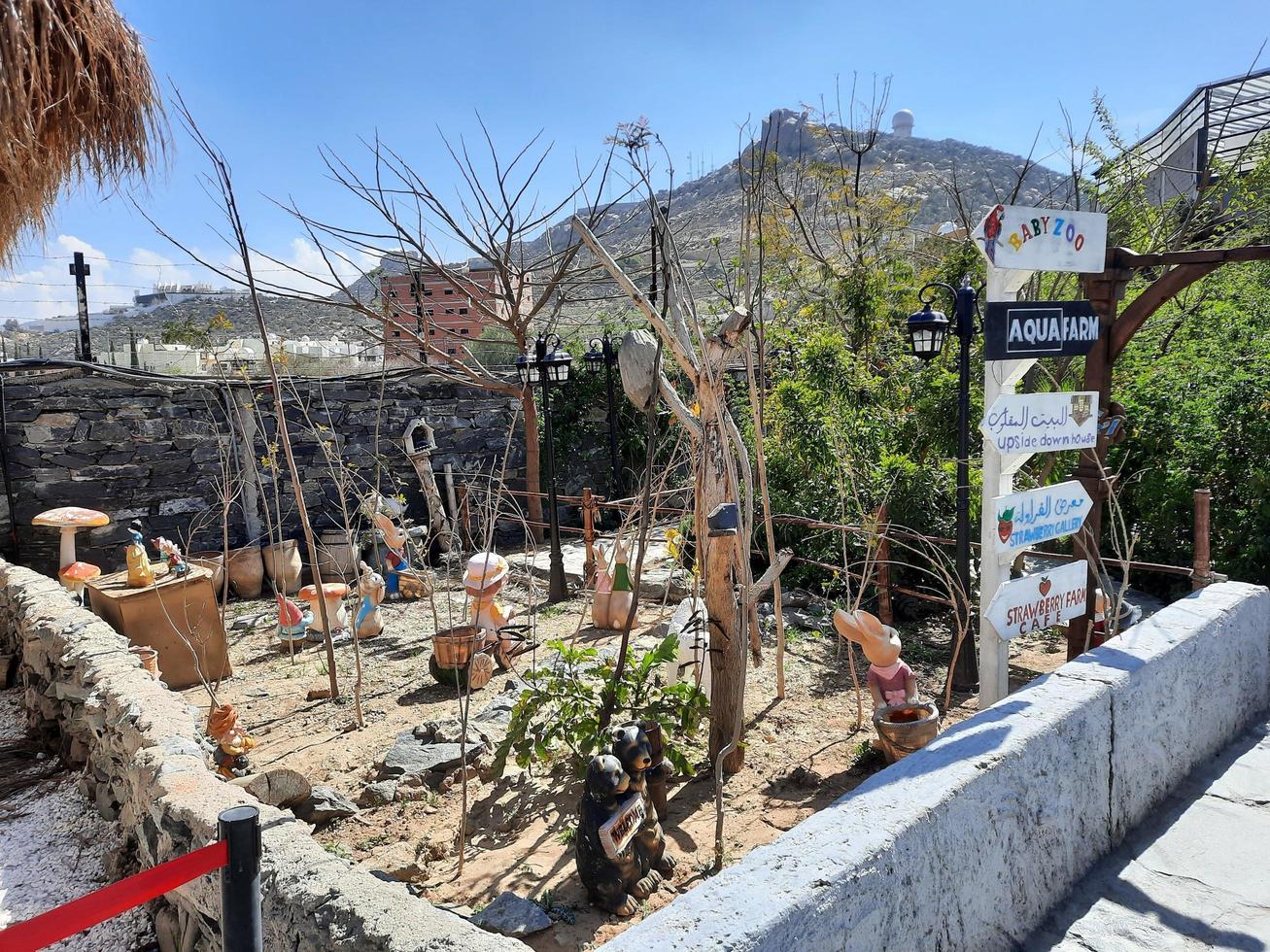 Taif, saudi arabia, marzo 2023 - un hermosa tiempo de día ver de un fresa granja en Taif, saudi arabia foto