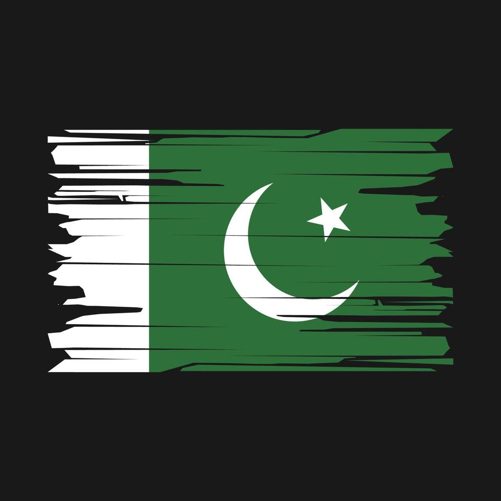 Pakistan Flag Brush Vector