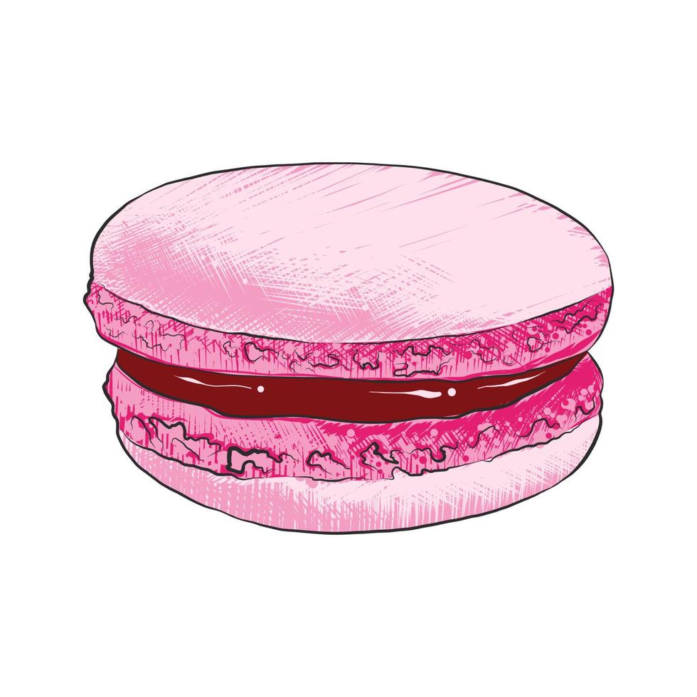 vector grabado estilo ilustración para carteles, decoración y impresión. mano dibujado bosquejo de macarrón, vistoso aislado en blanco antecedentes. detallado Clásico xilografía estilo