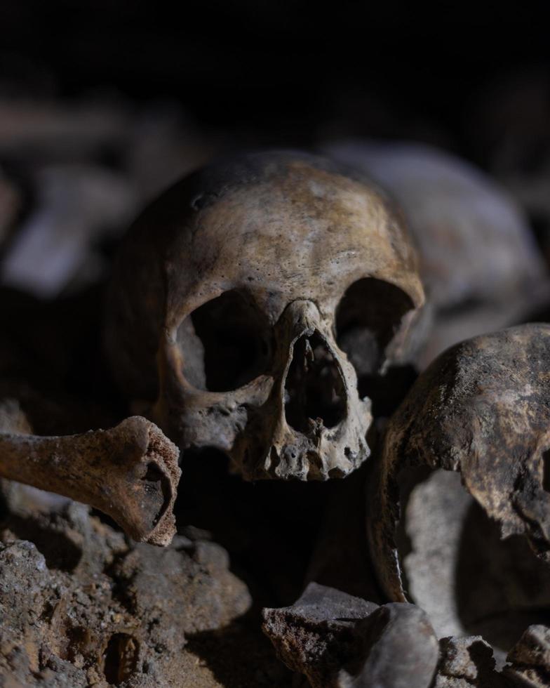 Human Skull closeup in the dark and minmal light photo