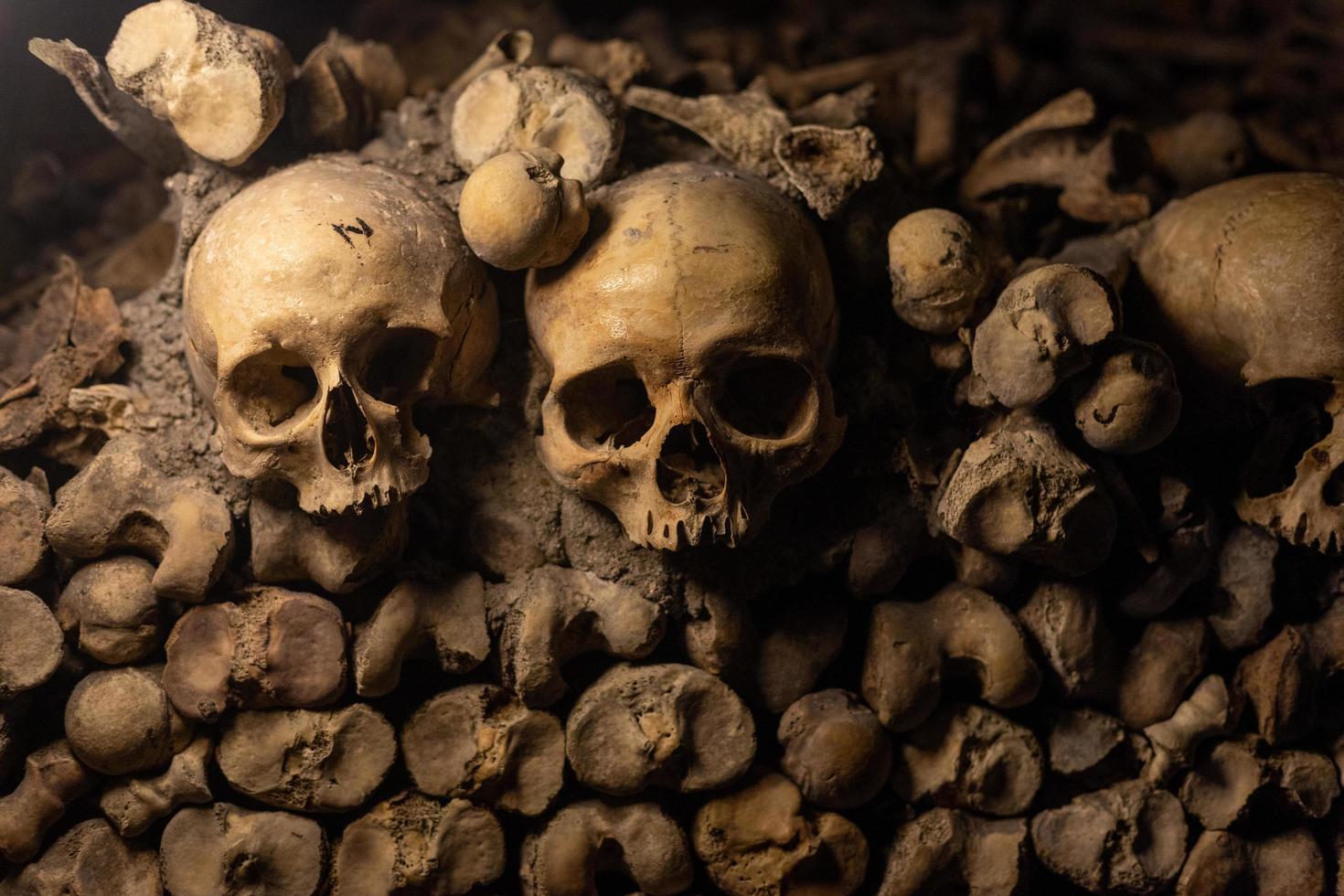 Human Skull closeup in the dark and minmal light photo