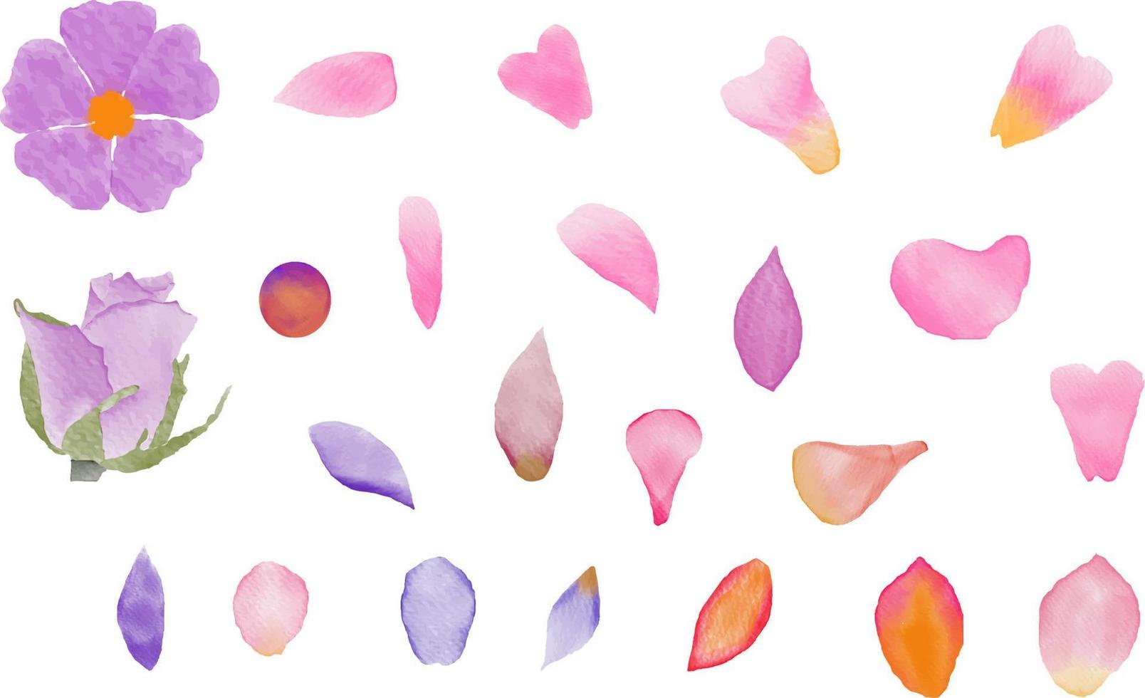 Set of vector watercolor cute flower petals brush