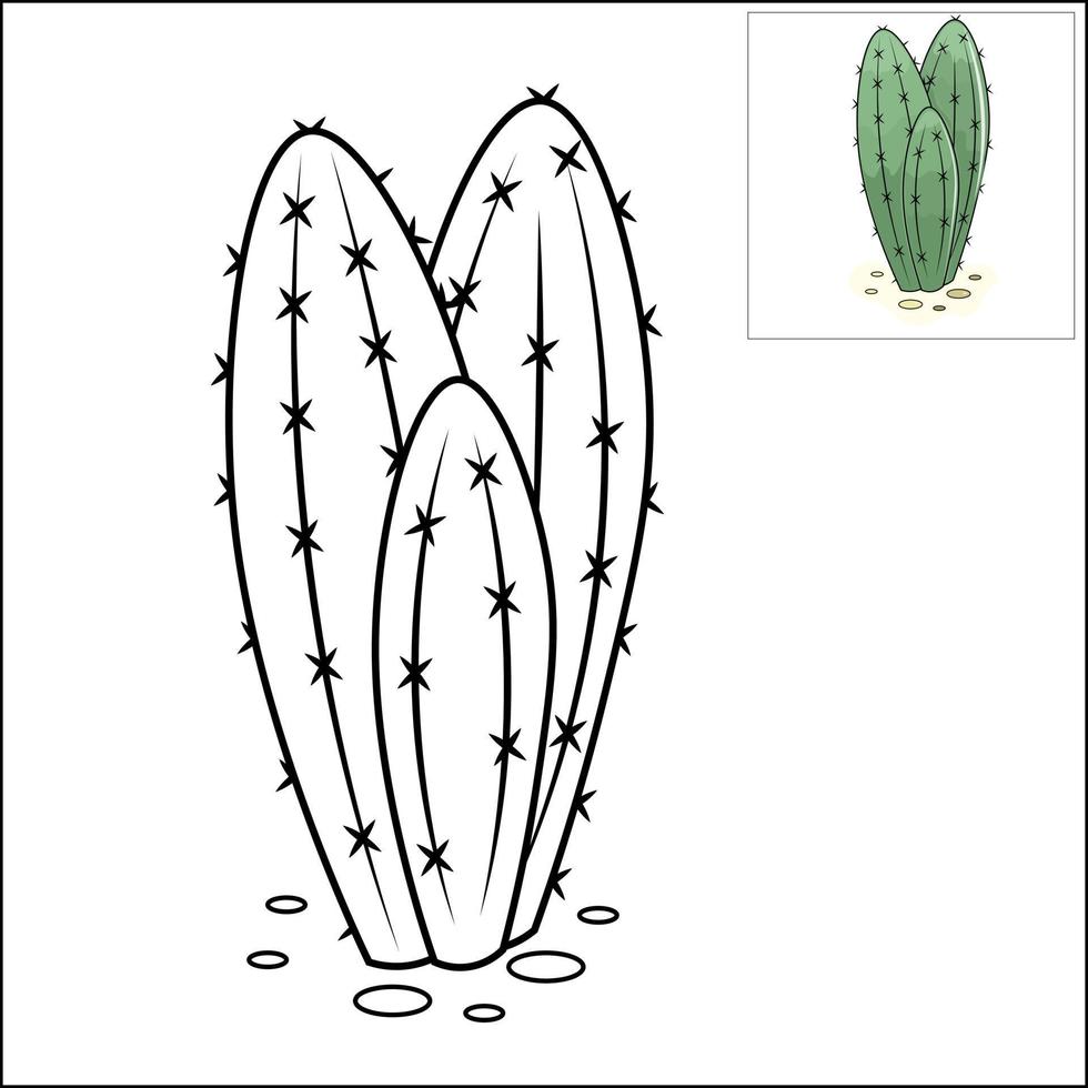 colorante libro para niños cactus vector