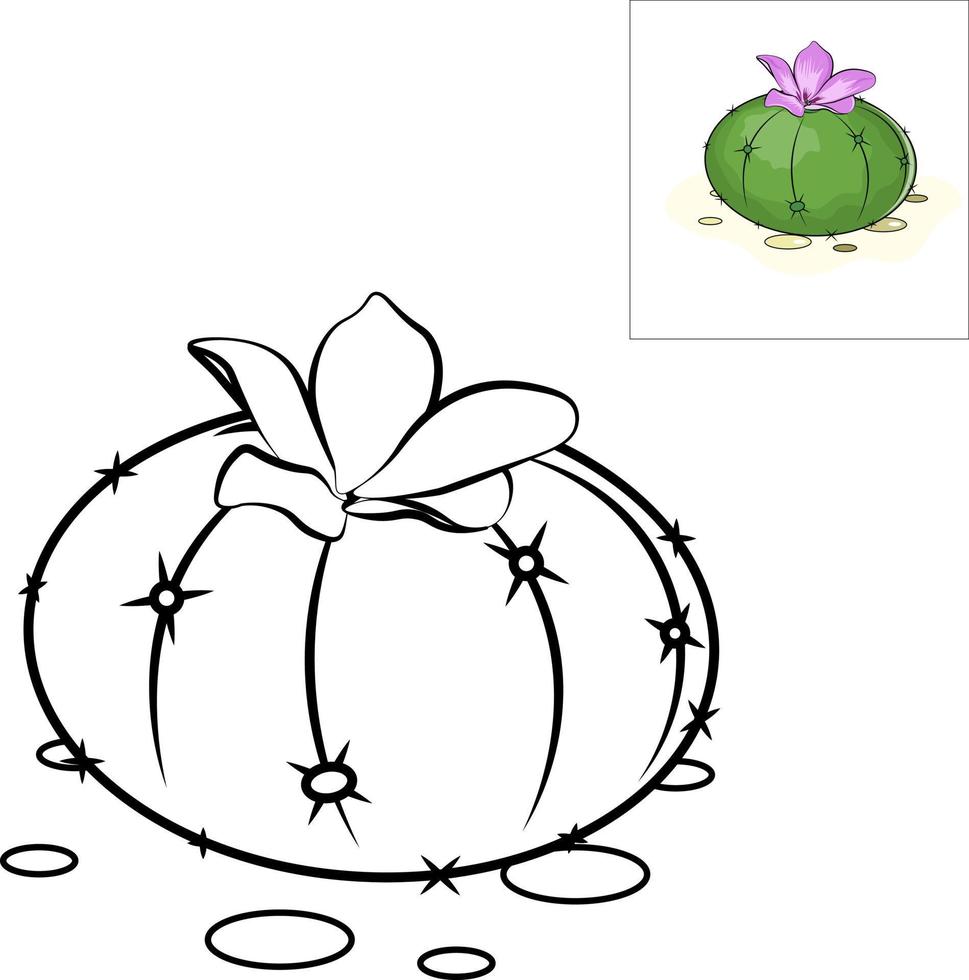 illustration of a cactus with leaves vector