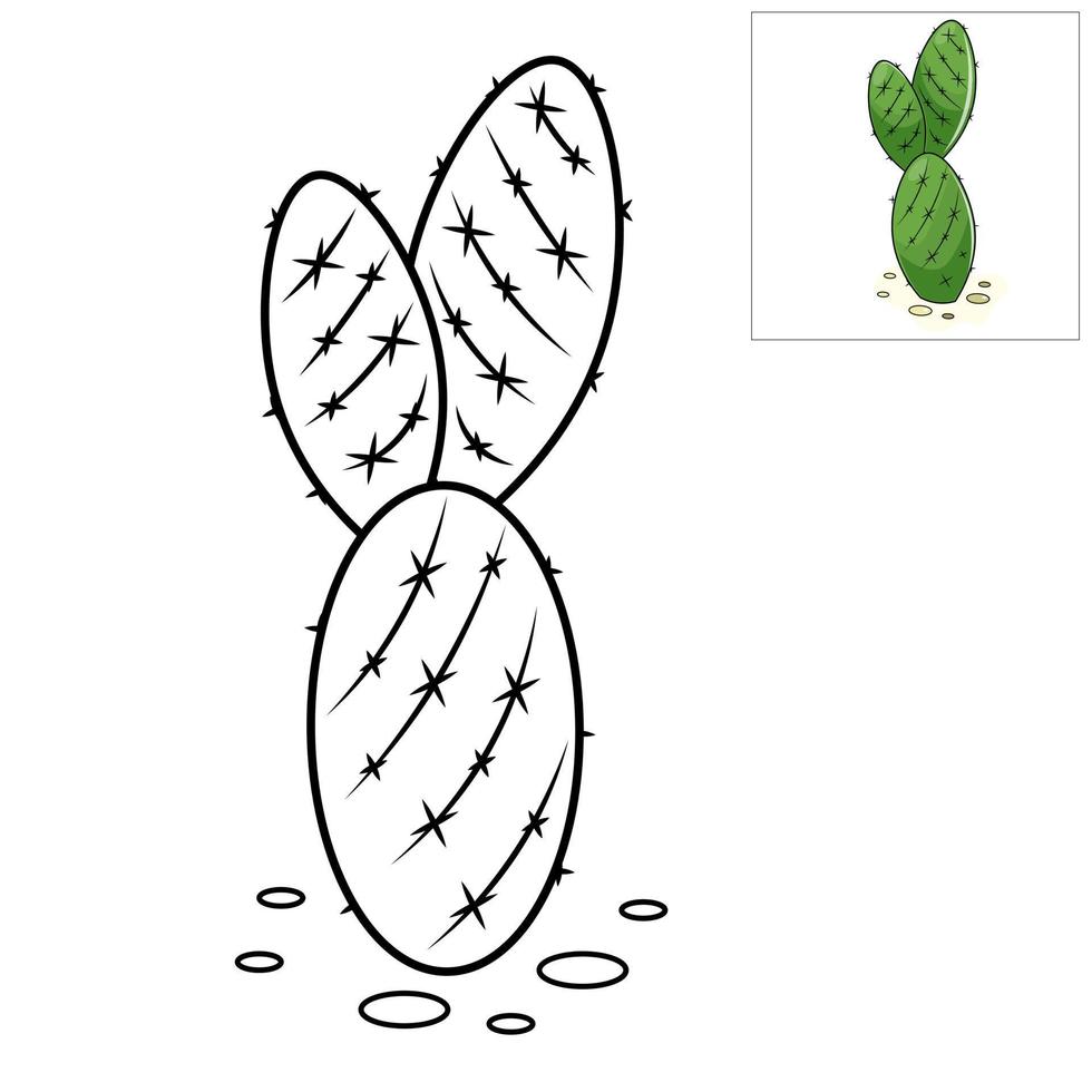 coloring book for kids cactus vector