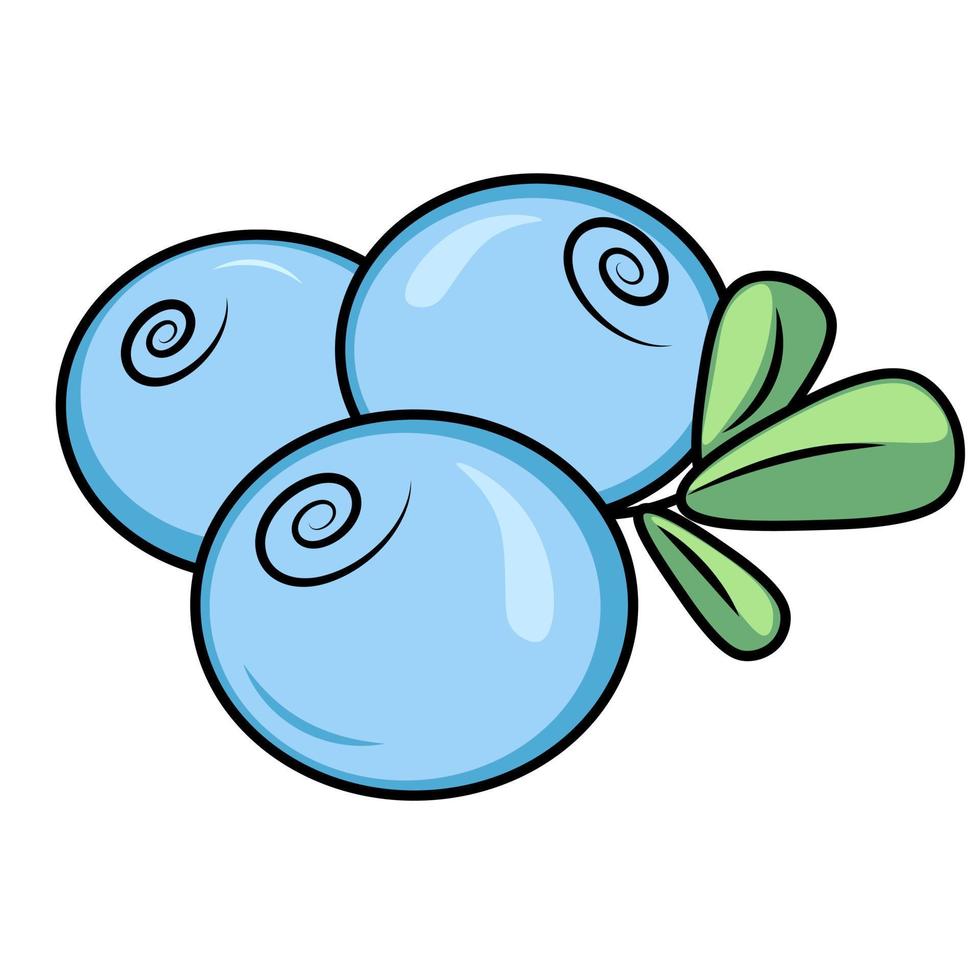 illustration of berries with green leafs vector