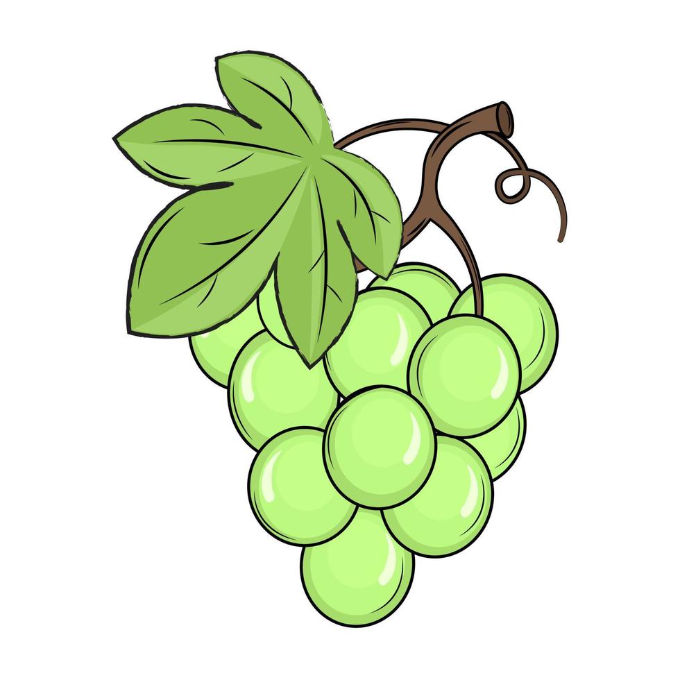 illustration of berries with green leafs vector