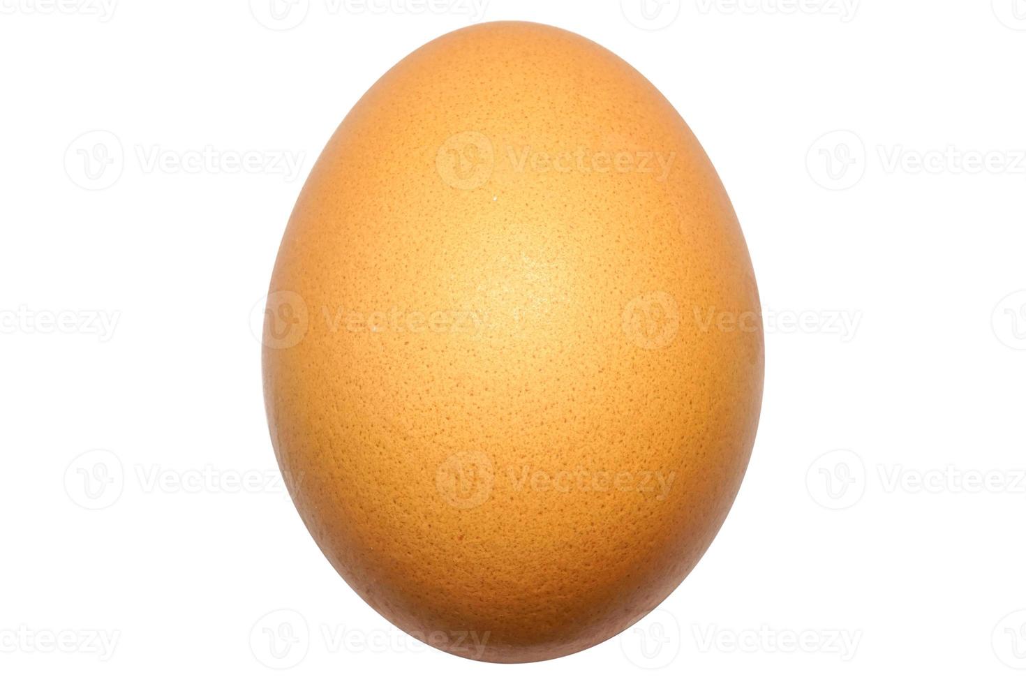 Close up of One brown chicken egg isolated on white background. Easter egg. Single hen raw egg. Natural nutrition food. Healthy ingredient meal protein product. photo