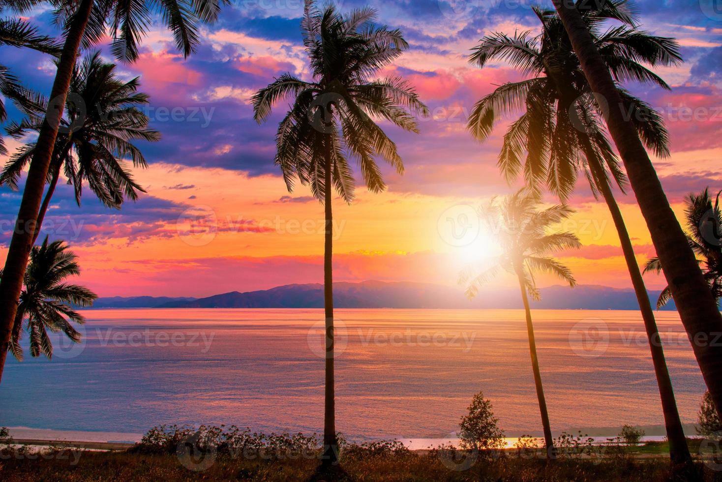 Silhouette coconut palm trees on beach at sunset. Vintage tone. photo