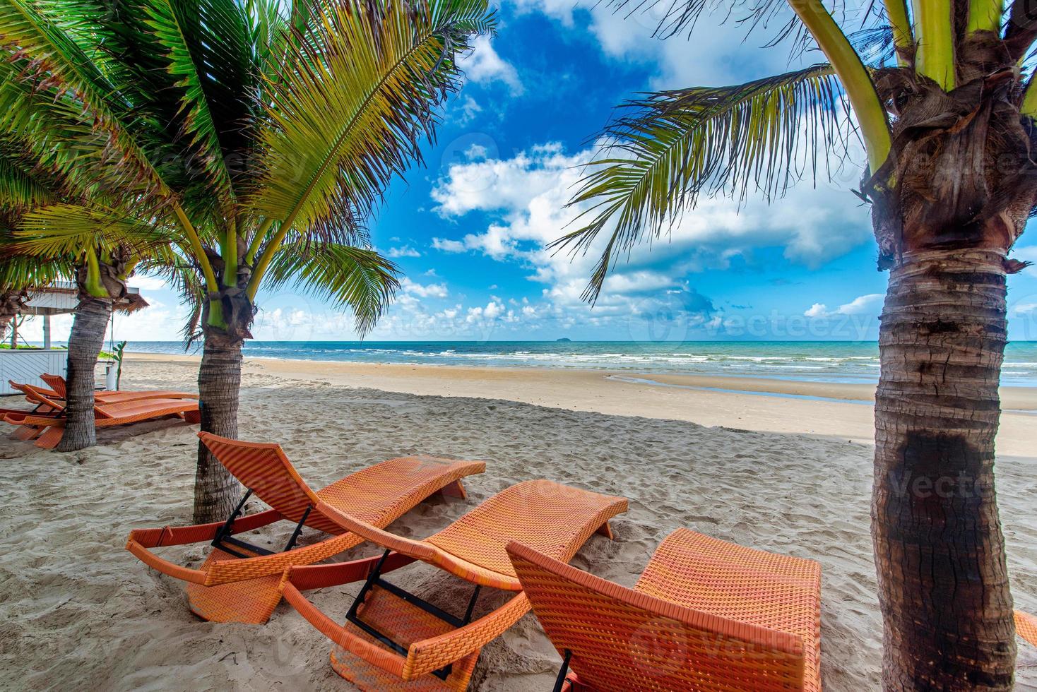 Beach chairs and coconut palm tree with blue sky background on the tropical beach at daytime photo
