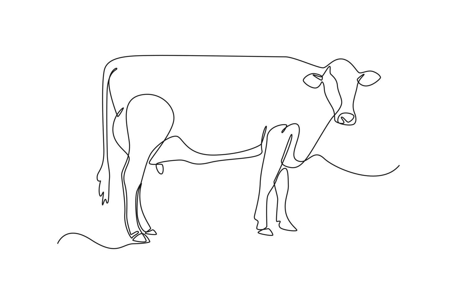 Continuous one-line drawing a cow is turning to the right . Animals concept single line draw design graphic vector illustration